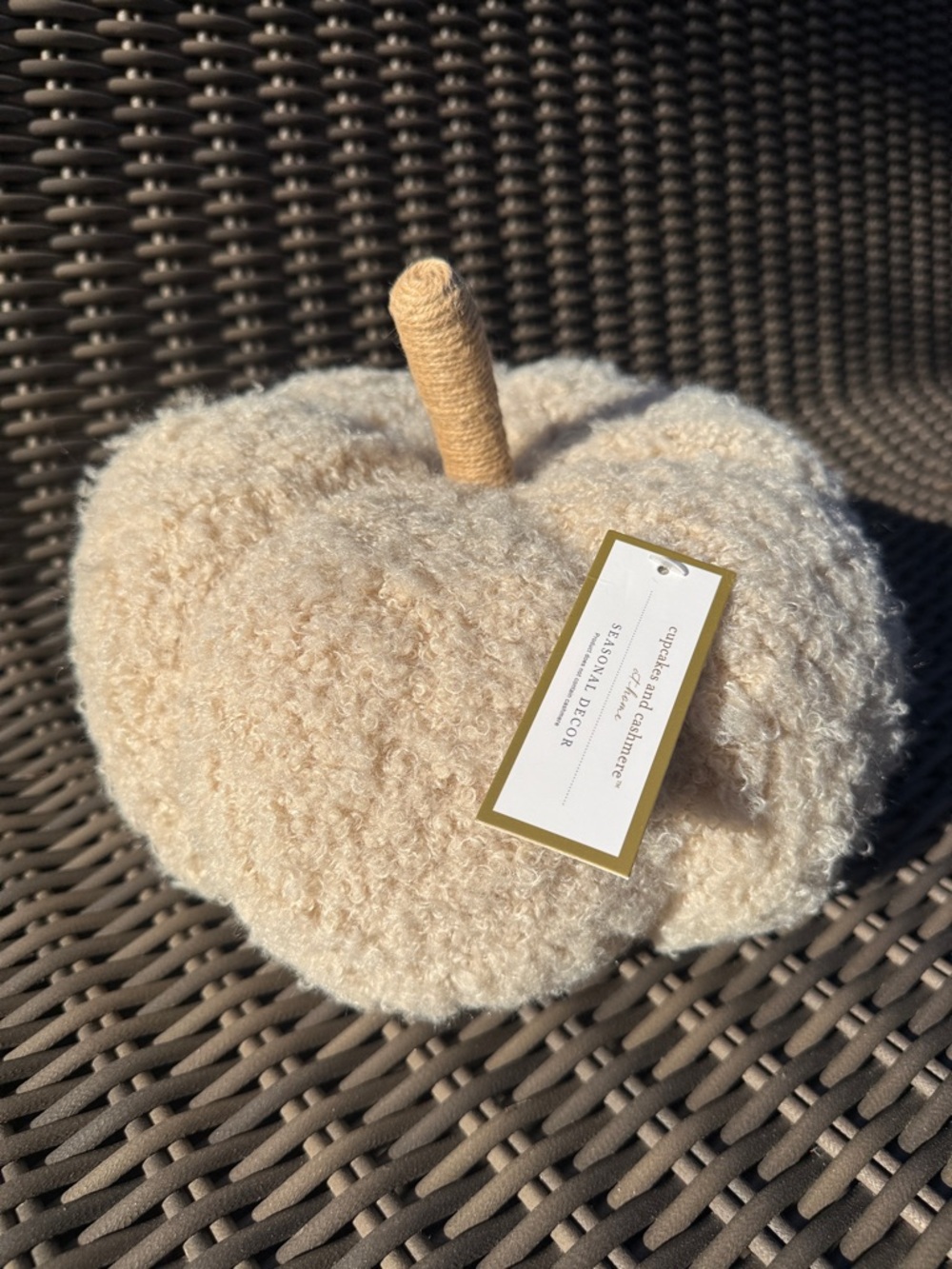 cupcakes & cashmere Plush Accent Pumpkin - Cream - NWT